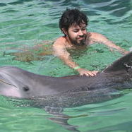 323 Hot to Draw Prompts Vendor